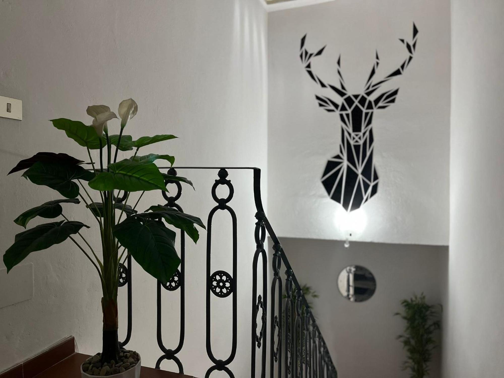 Apartamento L'oasi Del Cervo